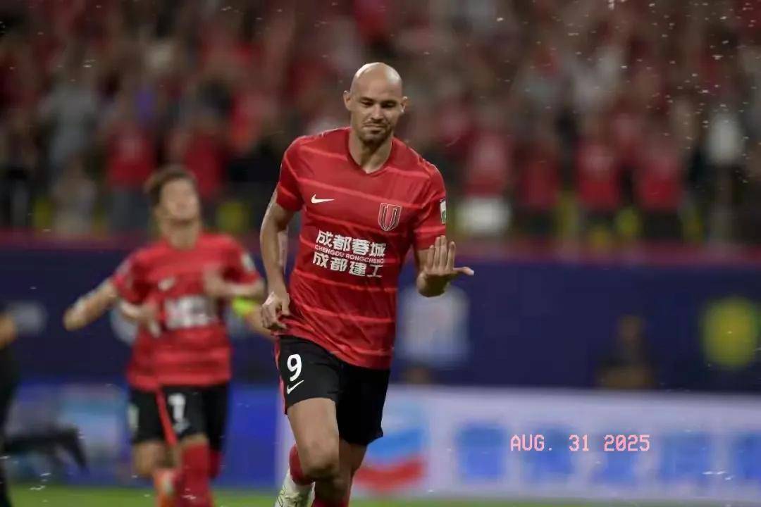 国际上的蓬 国际上的蓬