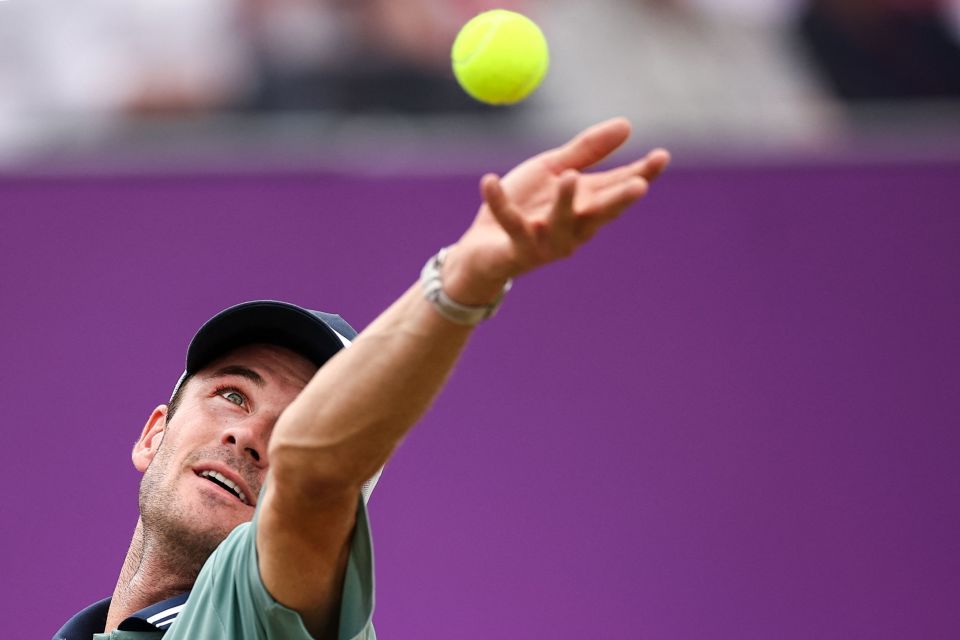 在这篇文章 在这篇文章